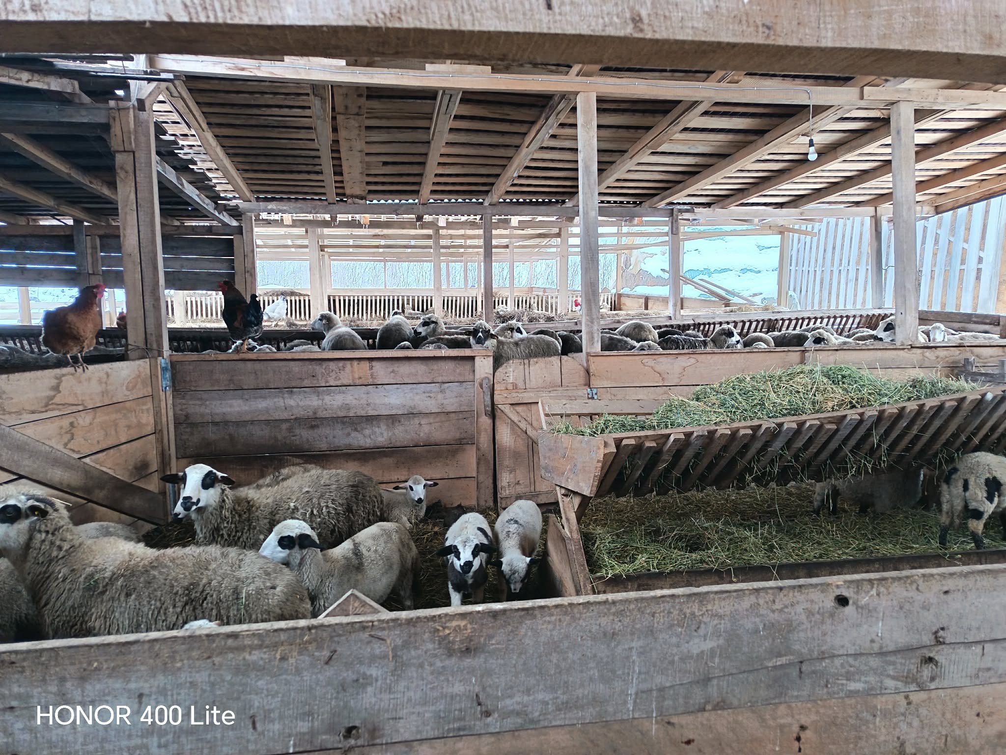 att.BQjV8hLwSkzWsp4hHpfPU nFI5gWy p3v1bGw6zbaQ0